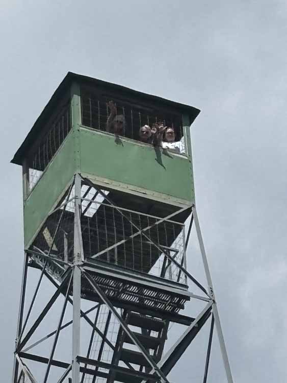 fire tower